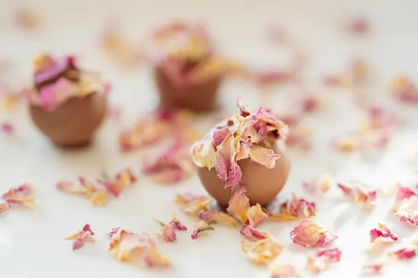 Kasino Lotus Asia Android/iOS Sovellus